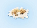 Childrens wallpaper 161