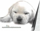 Childrens wallpaper 163
