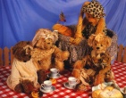 Childrens wallpaper 172