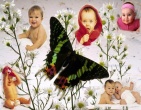 Childrens wallpaper 187