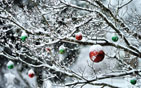 Christmas HD Wallpapers 40