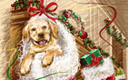 Christmas HD Wallpapers 47