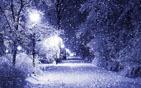 Christmas HD Wallpapers 77