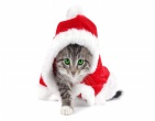 christmas new year wallpaper 109