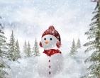 Christmas new year wallpaper 170