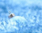 christmas new year wallpaper 206