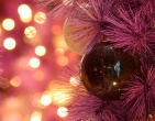 christmas new year wallpaper 223