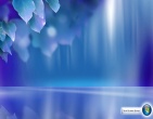 Computer wallpaper 146