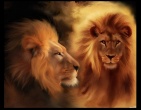 Cool wallpaper 010