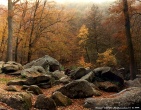 Cool wallpaper 032