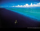 Cool wallpaper 038