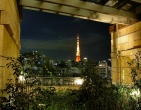 Cool wallpaper 045