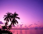 Cool wallpaper 077