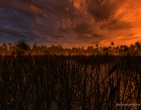 Cool wallpaper 078