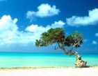 Cool wallpaper 080