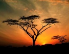 Cool wallpaper 086