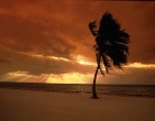 Cool wallpaper 088