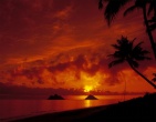 Cool wallpaper 100