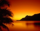 Cool wallpaper 101