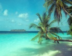 Cool wallpaper 148