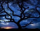 Cool wallpaper 150