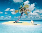 Cool wallpaper 165