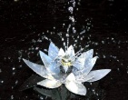 Cool wallpaper 170