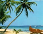 Cool wallpaper 179