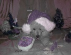 digital photos wallpaper 006