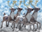 Digital photos wallpaper 017