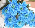 Digital photos wallpaper 021