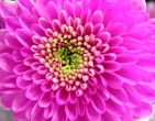 Digital photos wallpaper 025