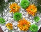 Digital photos wallpaper 038