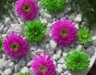 Digital photos wallpaper 039