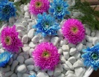 digital photos wallpaper 045