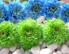 Digital photos wallpaper 056