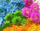 digital photos wallpaper 066