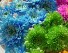 Digital photos wallpaper 070