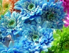 Digital photos wallpaper 074
