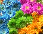 Digital photos wallpaper 075