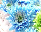 Digital photos wallpaper 076