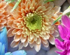 Digital photos wallpaper 077