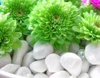Digital photos wallpaper 082