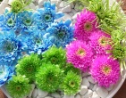 Digital photos wallpaper 083