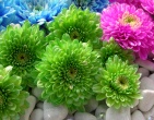 Digital photos wallpaper 084