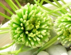 Digital photos wallpaper 085