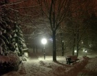 Digital photos wallpaper 095