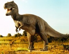 dinosaurs wallpaper 002
