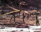 dinosaurs wallpaper 006