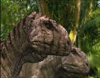 dinosaurs wallpaper 013
